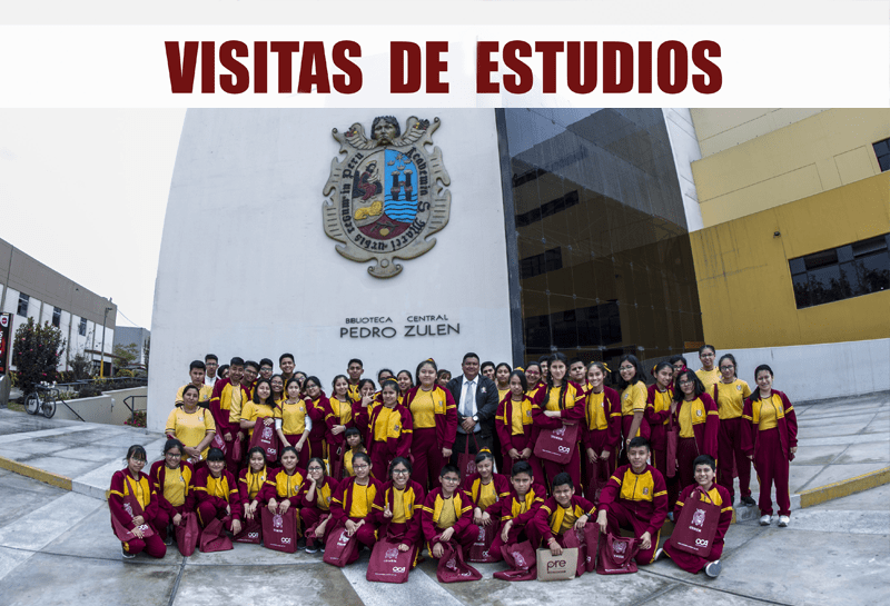 colegio en san martin de porres