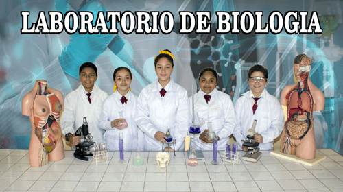 academia-de-basquet